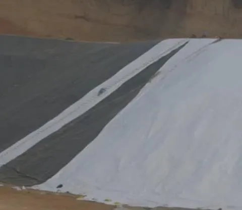 Cold and Hot Physical Characteristics of Ruili Geomembrane
