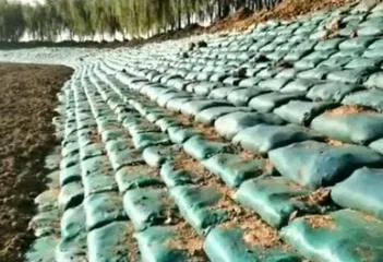 Adoption of Ecological Bags in Engineering Construction