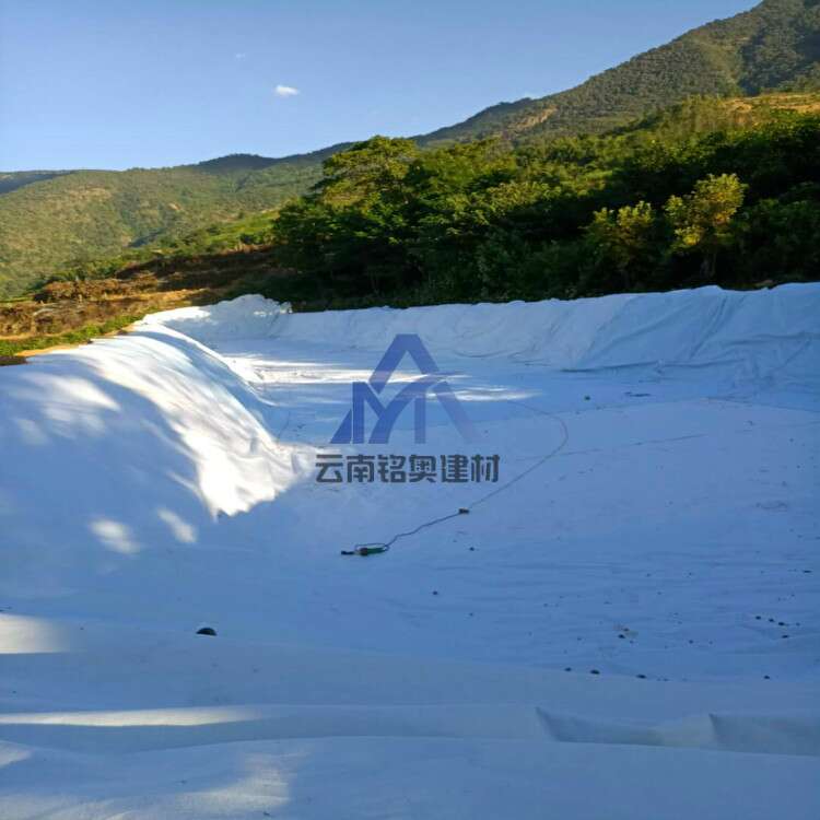 Composite Geomembrane