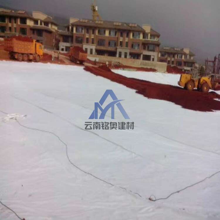 Composite Geomembrane