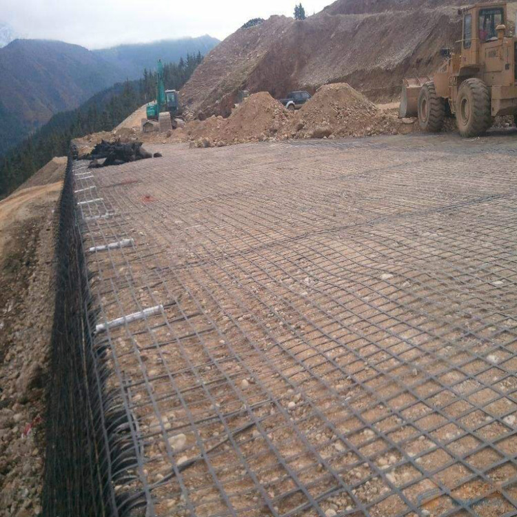 Steel-plastic geogrid