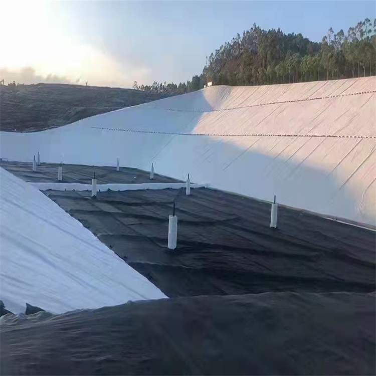 Geomembrane construction