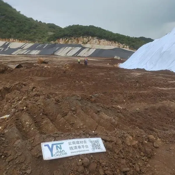 Geomembrane laying
