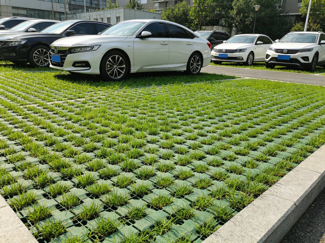Grass Grid Maintenance: Tips for Long-Lasting Paving
